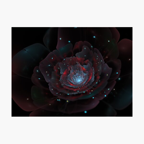 Shadowbloom Photographic Print