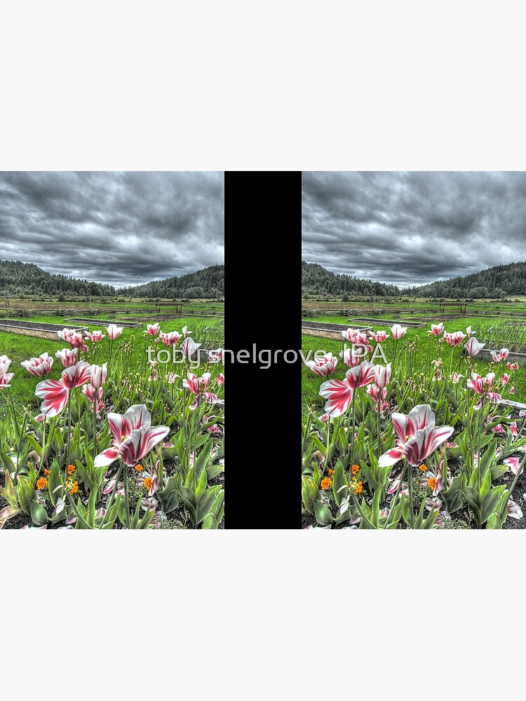 Spring on Punch's Farm by tobysnelgrove