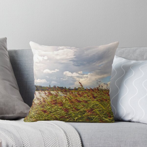 Item preview, storm coming on a phragmites field designed and sold by marmur.