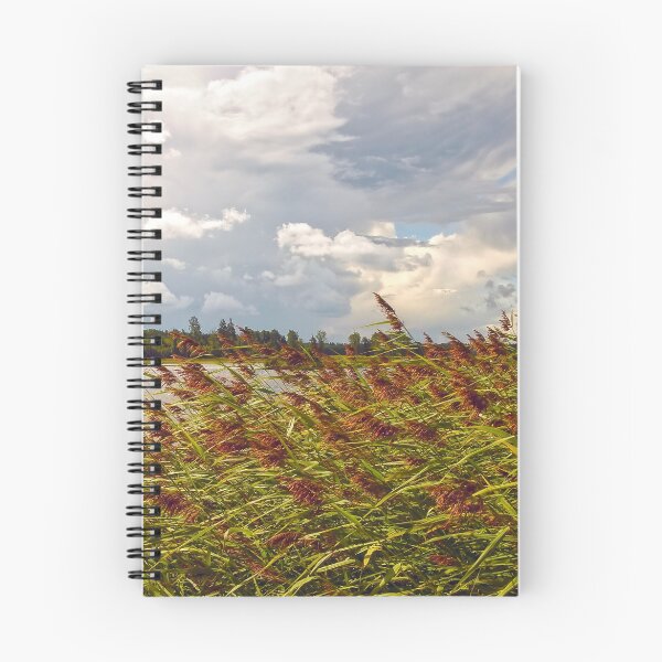 Item preview, storm coming on a phragmites field designed and sold by marmur.