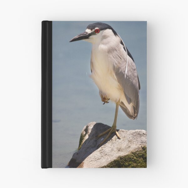 Artikelvorschau, Black Crowned Night Heron entworfen und verkauft von Chris Heising.