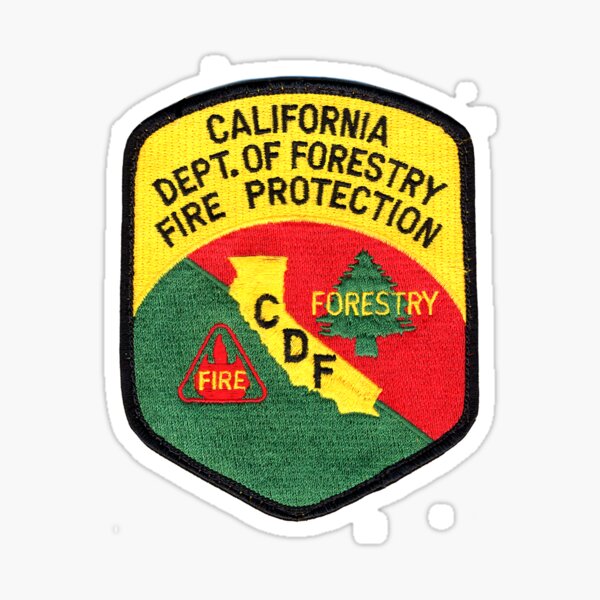 RIDGECREST CALIFORNIA CA FIRE PATCH 
