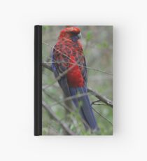Crimson Rosella Hardcover Journal