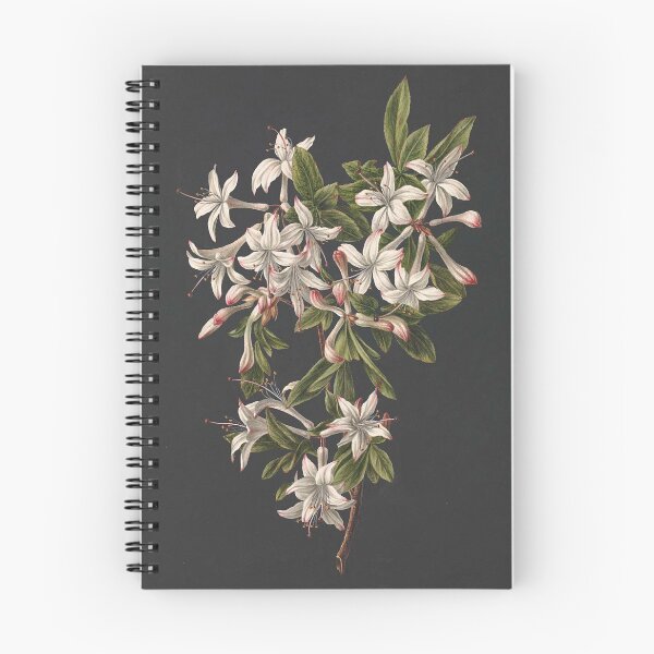 Item preview, 'Branch of Azaleas in bloom' by M. de Gijselaar designed and sold by MuseumPrint.