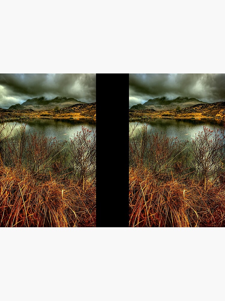 Sligachan Grasses by Shuggie