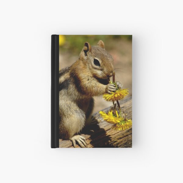 Dandelions A Plenty Hardcover Journal