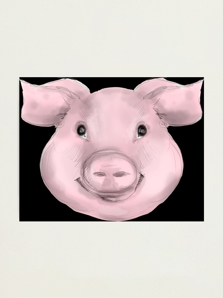 Impression Photo Dessin De Dessin De Visage De Cochon Mignon Idees De Cadeaux Pour Animaux Uniques Par Cartba Redbubble