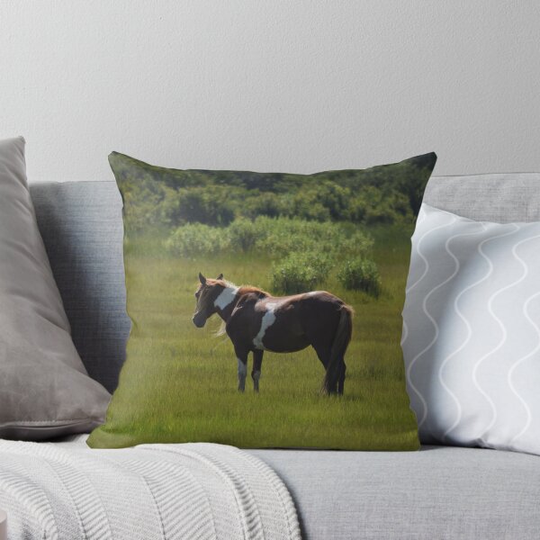 Item preview, Assateague Adventure Tour Series - 9 designed and sold by sarahshanely.
