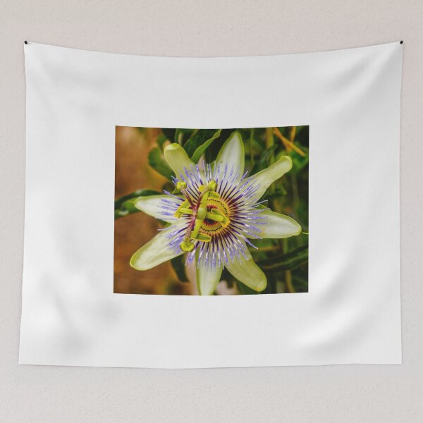 Item preview, lbs passion fruit designed and sold by pcfyi.