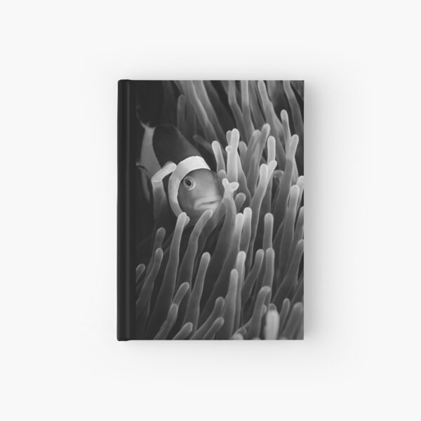My hiding place Hardcover Journal