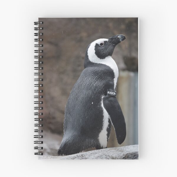 Item preview, National Aviary Pittsburgh Series - 2 designed and sold by sarahshanely.