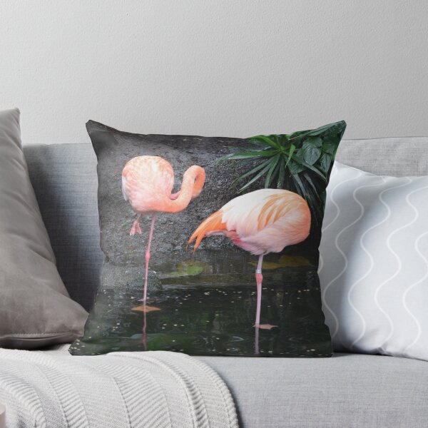 Item preview, National Aviary Pittsburgh Series - 3 designed and sold by sarahshanely.