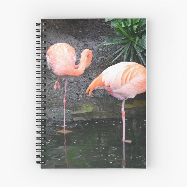 Item preview, National Aviary Pittsburgh Series - 3 designed and sold by sarahshanely.