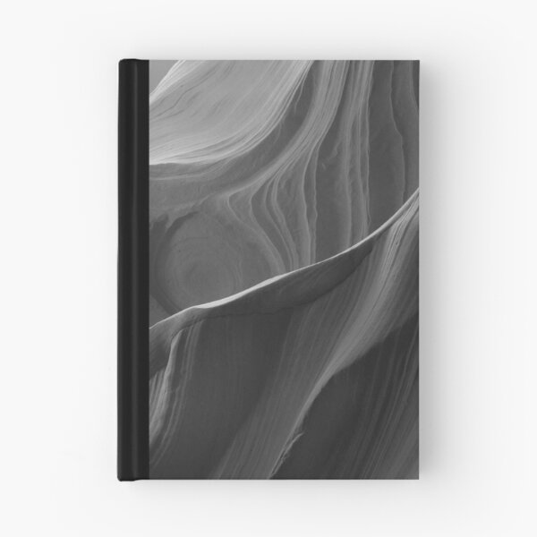 Aperçu de l'œuvre Antelope B/W créée et vendue par Steve  Taylor.