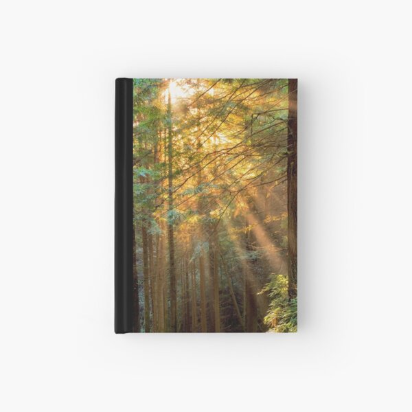 Item preview, Sun Ray through Redwoods designed and sold by Soumya Mitra.