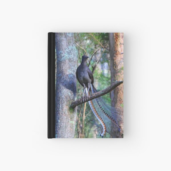 Superb Lyrebird. Hardcover Journal