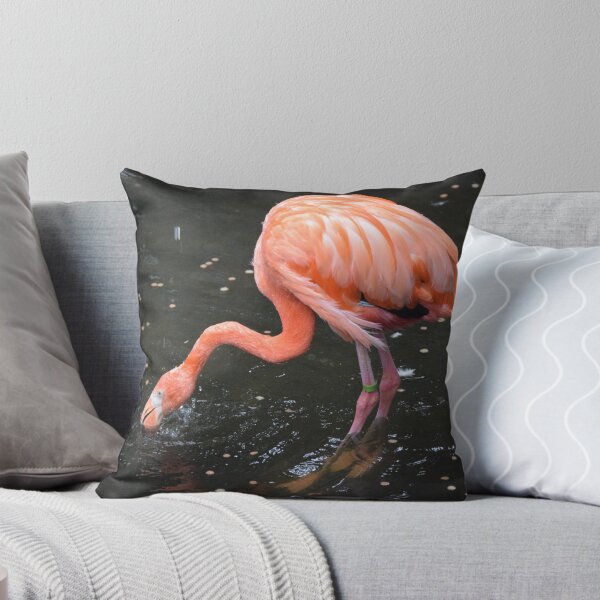 Item preview, National Aviary Pittsburgh Series - 4 designed and sold by sarahshanely.