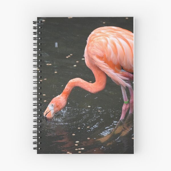 Item preview, National Aviary Pittsburgh Series - 4 designed and sold by sarahshanely.