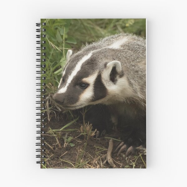 Item preview, Baby Badger designed and sold by Matthew Kochel JJ In A Jayco.