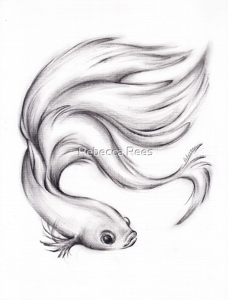 "River Belle - Charcoal Pencil Drawing of a Siamese/Betta Fighting Fish