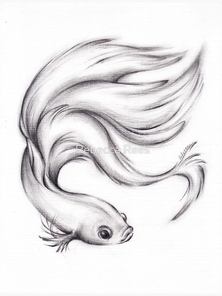 River Belle - Charcoal Pencil Drawing of a Siamese/Betta Fighting