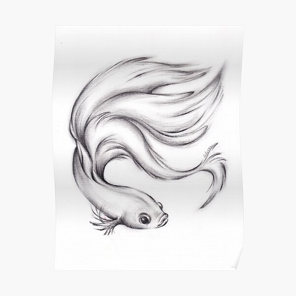 90+ Drawing Of A Betta Fish White Illustrations, Royalty-Free Vector  Graphics & Clip Art - iStock