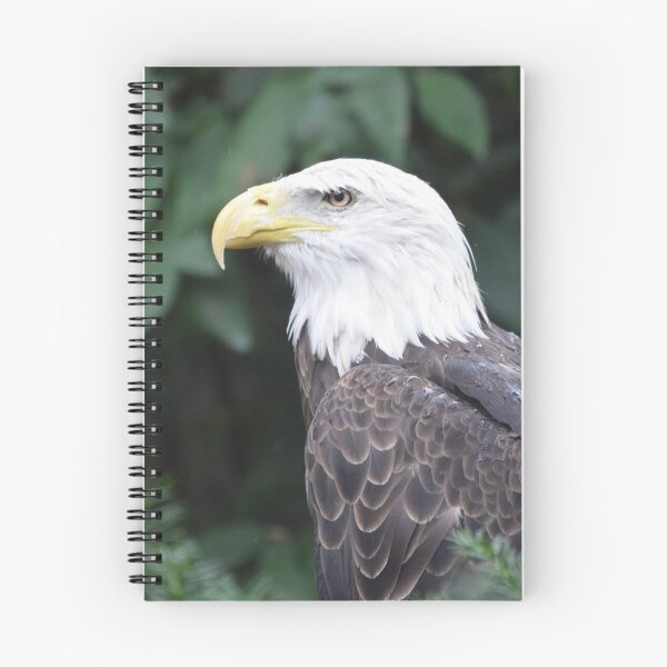 Item preview, National Aviary Pittsburgh Series - 8 designed and sold by sarahshanely.