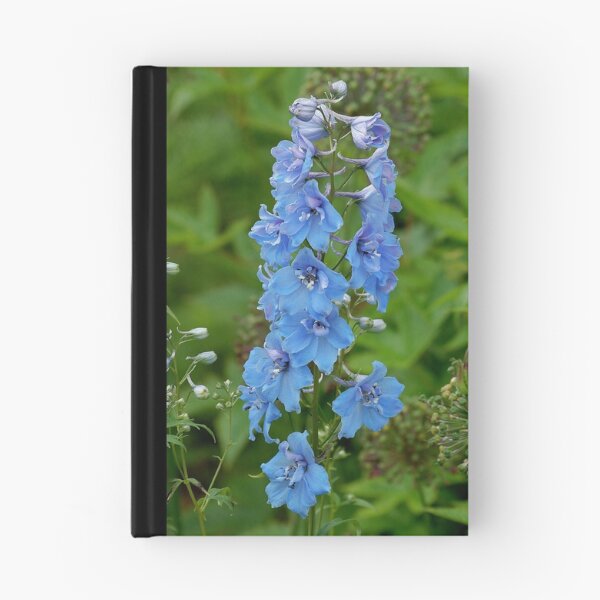 Item preview, Blue designed and sold by Declan Carr.
