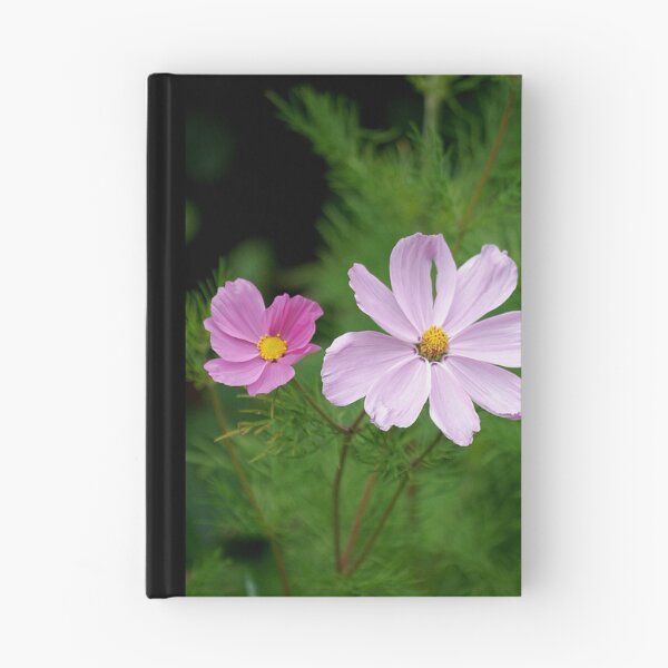 Item preview, pink cosmos designed and sold by Declan Carr.