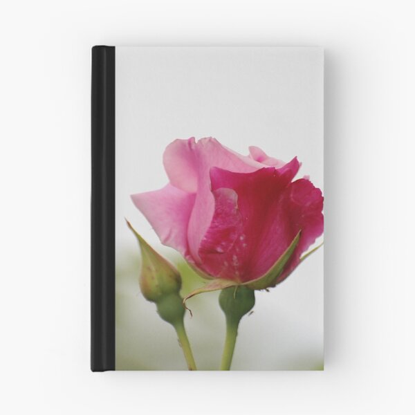 Item preview, Pink rose. designed and sold by Declan Carr.