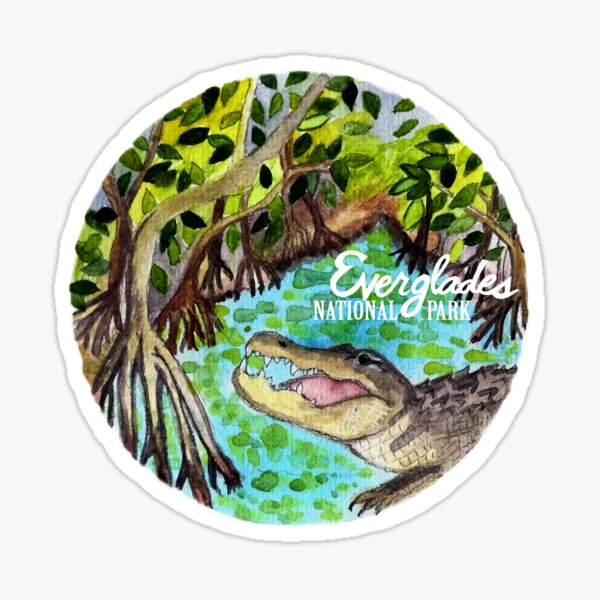 Everglades National Park Watercolor Sticker