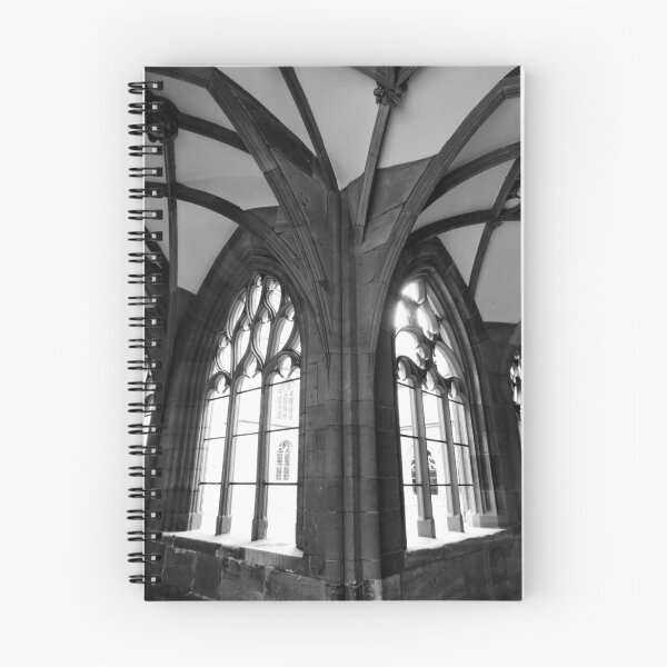 Item preview, Cloisters Basel Minster designed and sold by tunna.