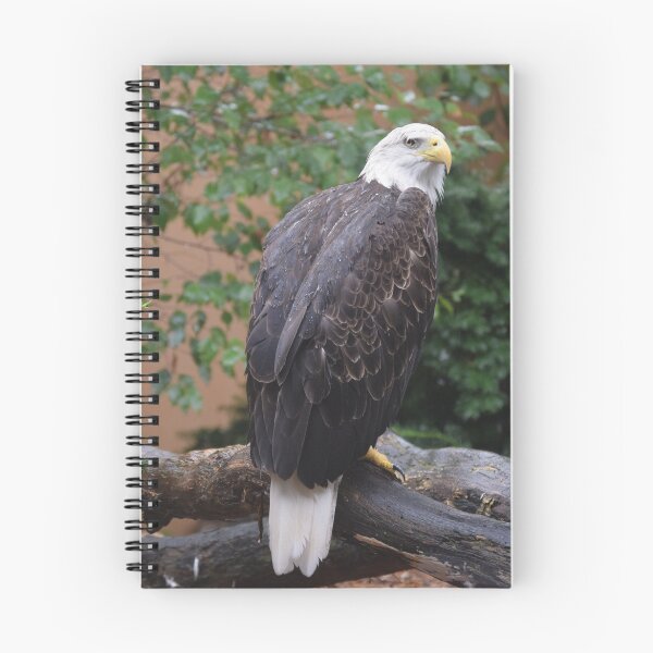 Item preview, National Aviary Pittsburgh Series - 10 designed and sold by sarahshanely.