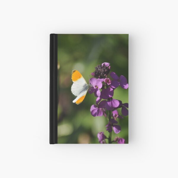 Purple Orangetip Hardcover Journal