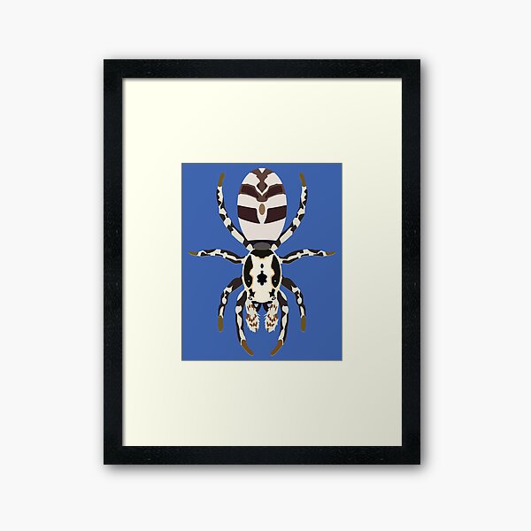 Salticus scenicus, the Zebra Jumping Spider Framed Art Print