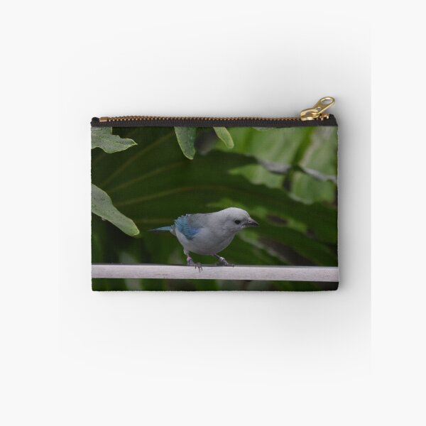 Item preview, National Aviary Pittsburgh Series - 11 designed and sold by sarahshanely.
