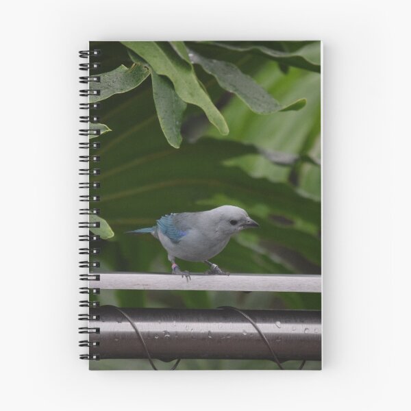 Item preview, National Aviary Pittsburgh Series - 11 designed and sold by sarahshanely.