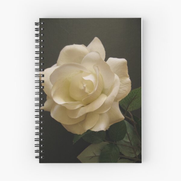 Item preview, Single White Rose designed and sold by mary81.
