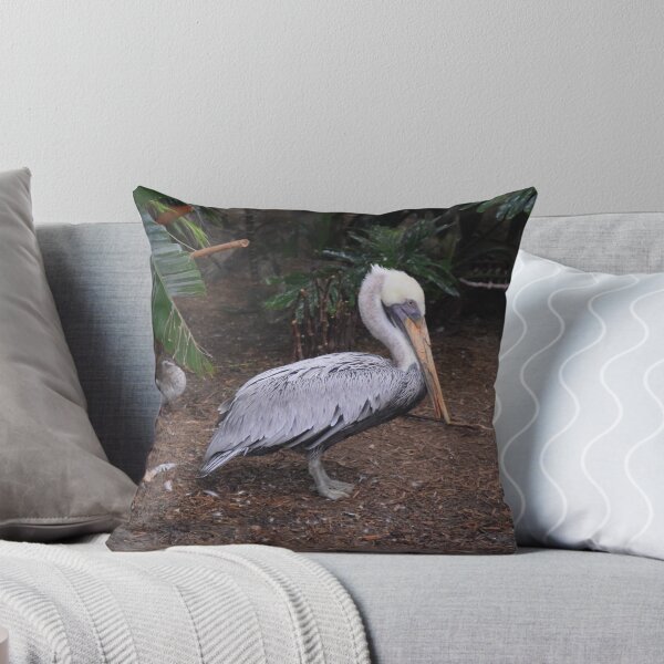Item preview, National Aviary Pittsburgh Series - 12 designed and sold by sarahshanely.
