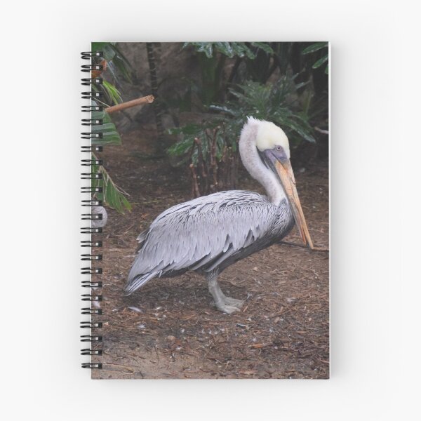 Item preview, National Aviary Pittsburgh Series - 12 designed and sold by sarahshanely.