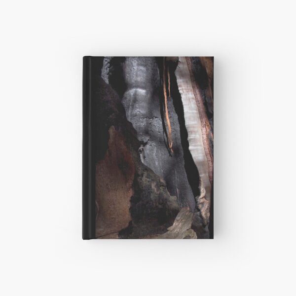Burned Sequoia Hardcover Journal