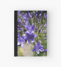 Agapanthus Hardcover Journal