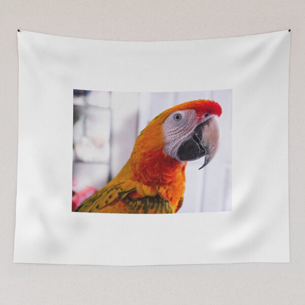 Item preview, Roscoe the Camelot Macaw designed and sold by ValueEveryThing.