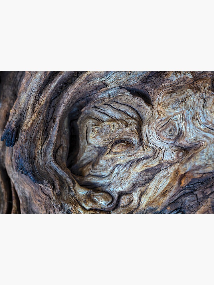 Driftwood by fardad