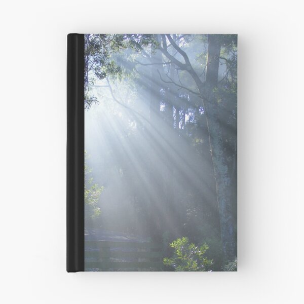 Item preview, sunrays delight designed and sold by Gaylene Norton.