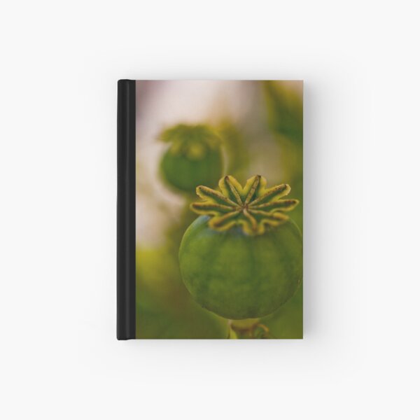 Poppy Heads Hardcover Journal