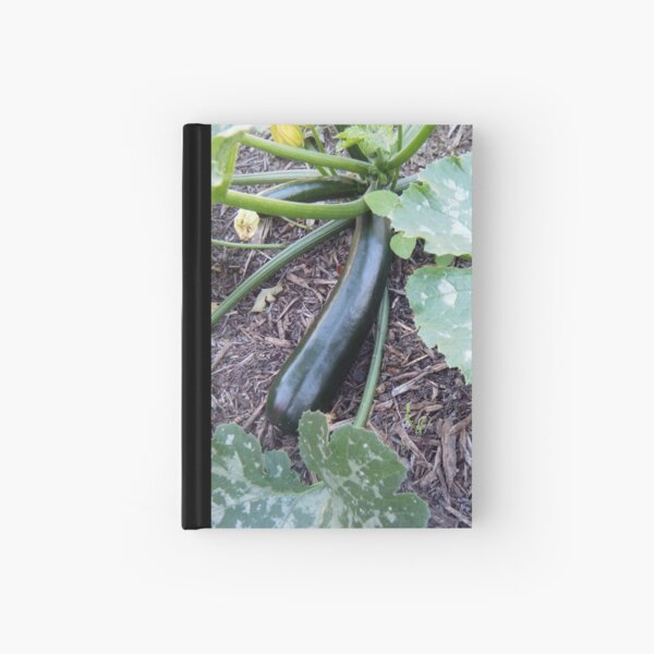 Zucchini Hardcover Journal