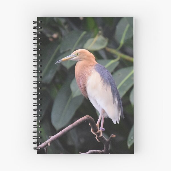 Item preview, National Aviary Pittsburgh Series - 15 designed and sold by sarahshanely.