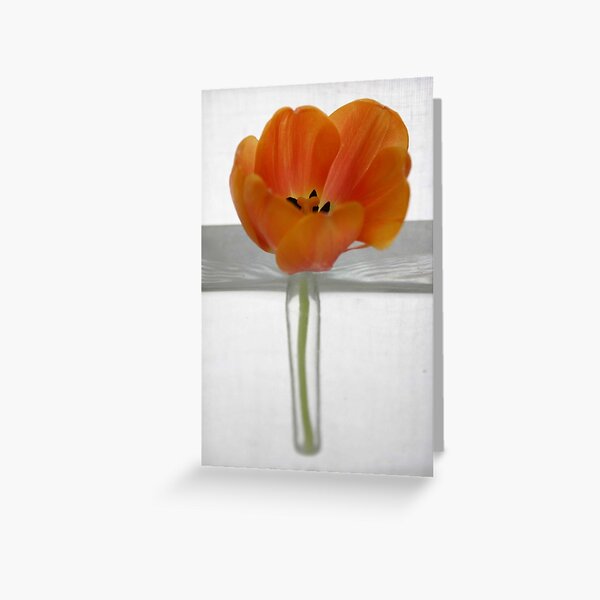 Tulip 2 Greeting Card