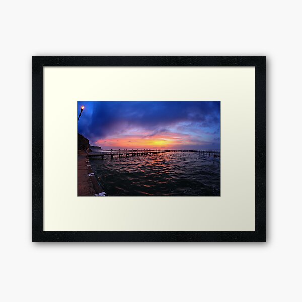 The Swimmer - North Narrabeen Baths Framed Art Print